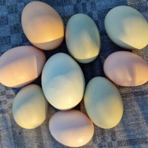 Ägg - Jennifers Ägg