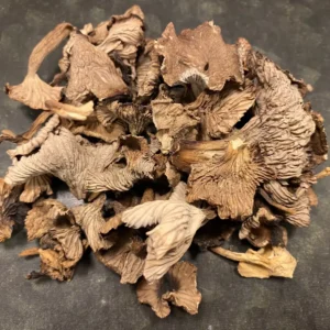 Torkade trattkantareller - Blisterlidens Lantbruk